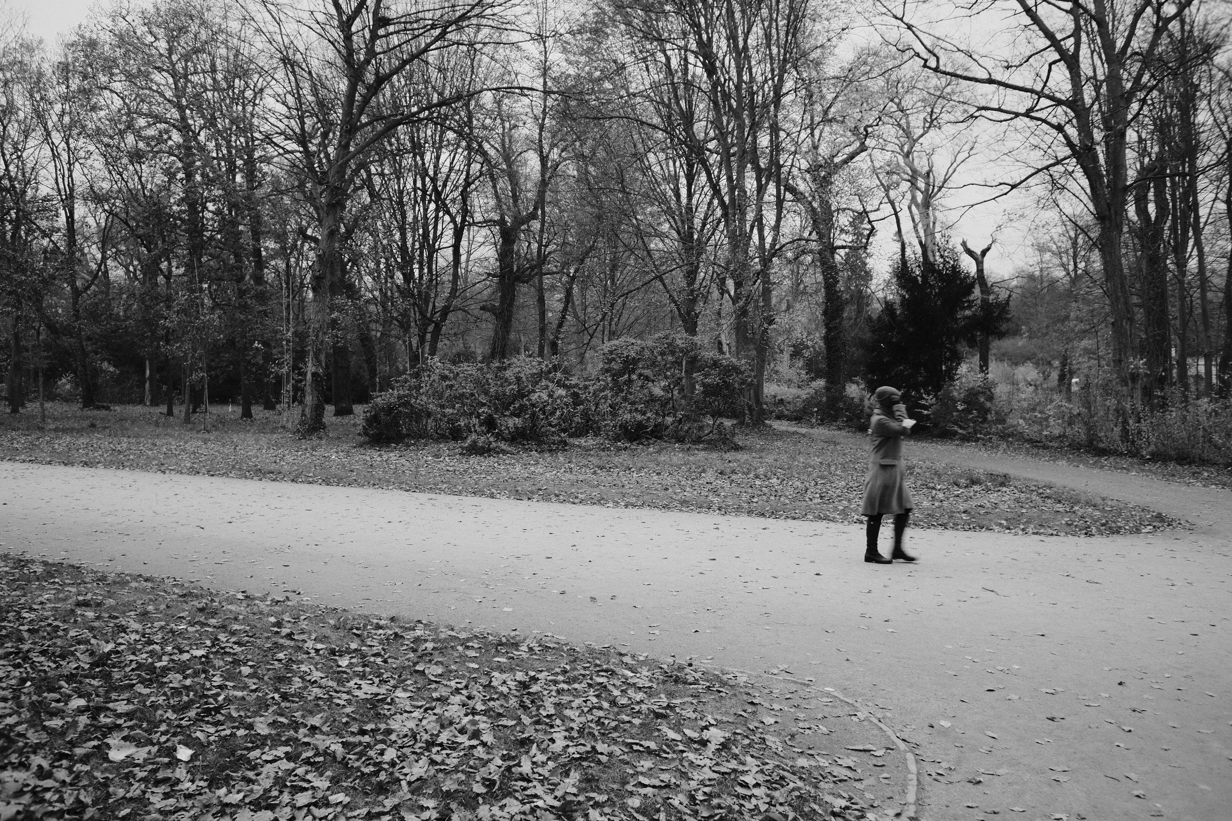 20211116 1549 dscf2744