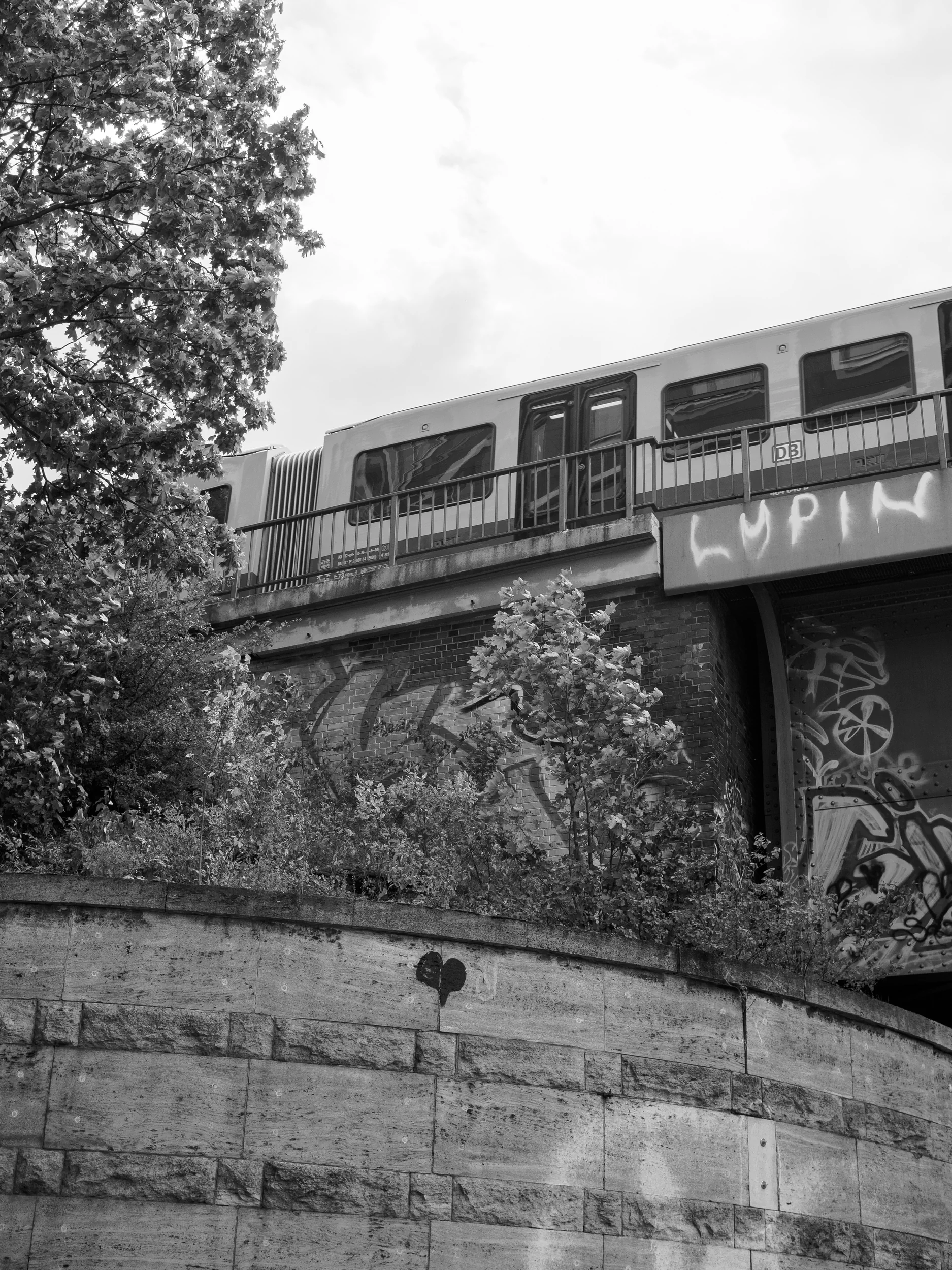 20240825 124745 p8250049e m10markii kleinwebp