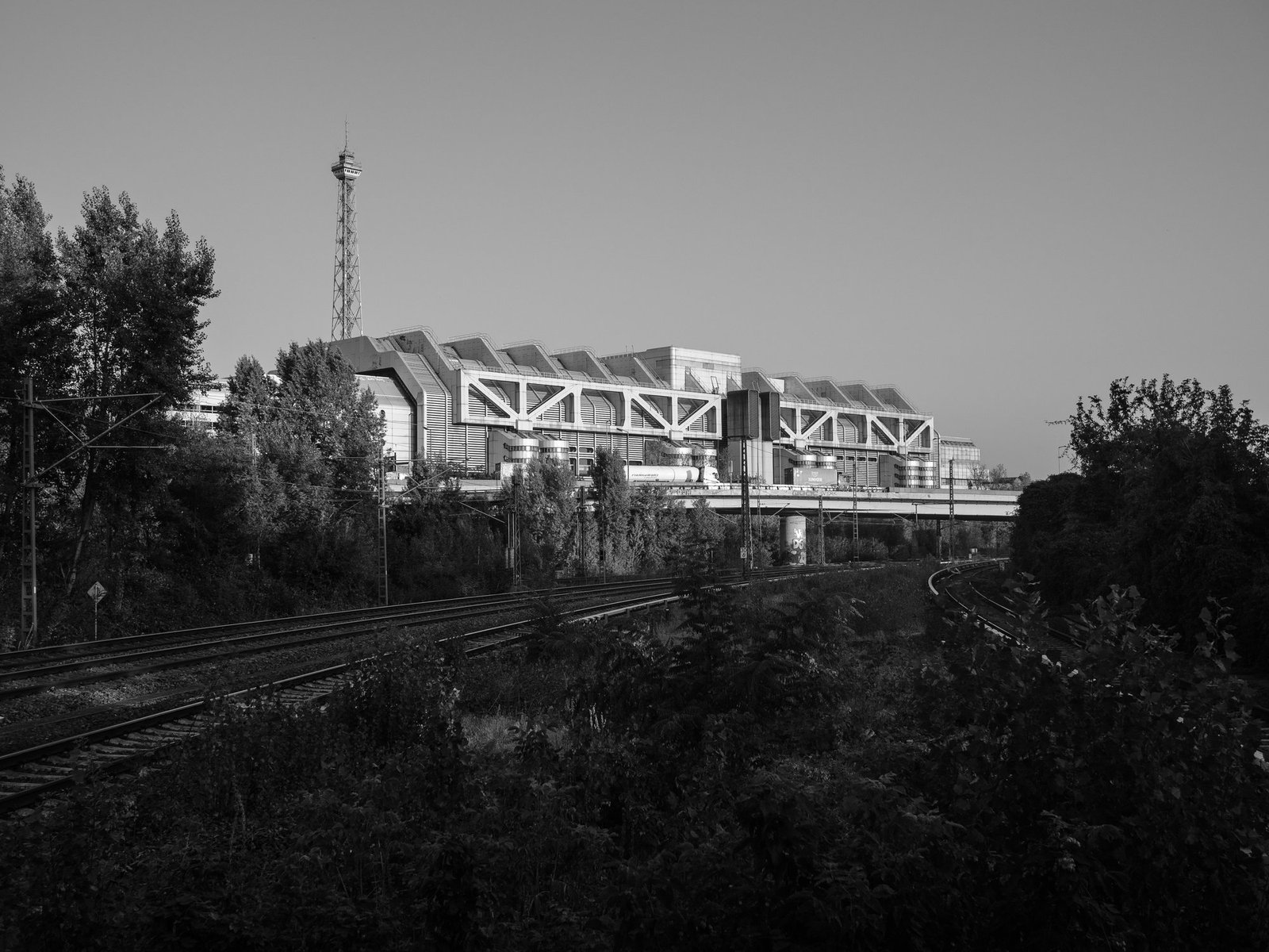 20240920 074940 P9200017E M10MarkII